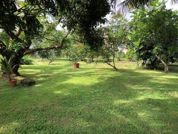 Property grounds