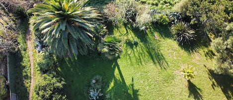 Vue aérienne du jardin exotique