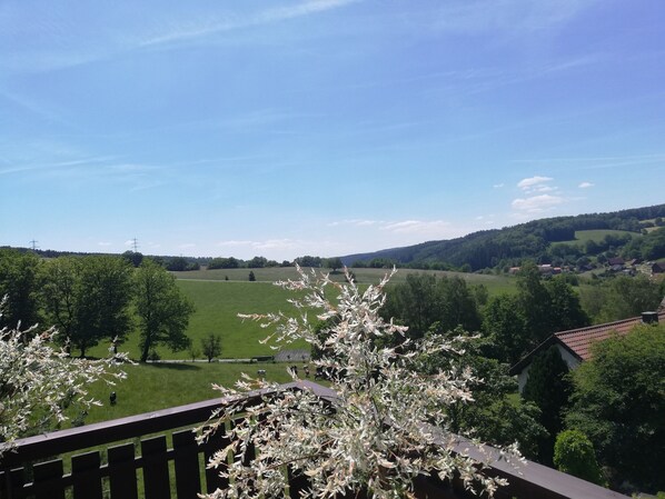 Boendeområde