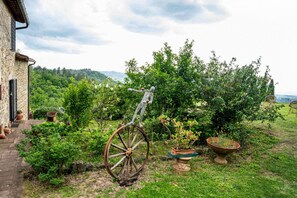 Autumn, Garden, Spring, Summer