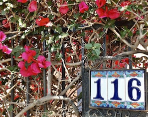 Enjoy your getaway relaxing by lush vining flowers in the front garden