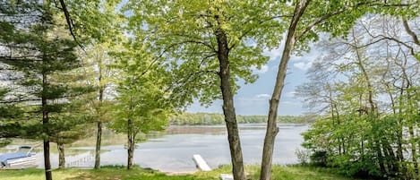 View of backyard