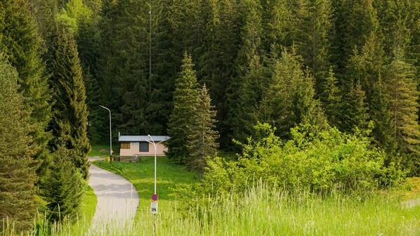 Outdoor surrounding