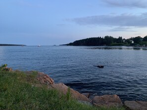 Looking out to sea