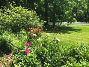 Front garden in spring.