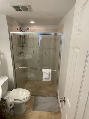 Newly updated master bath