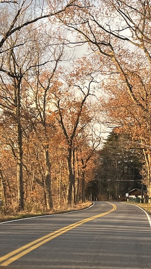 driving up the house.