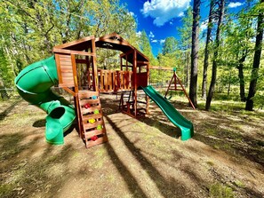 Backyard Playset