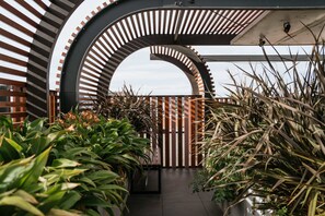Roof Top Garden