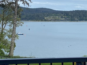 View from Primary Bedroom Balcony