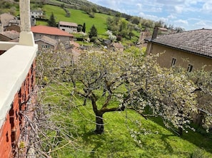 Terrain de l’hébergement 