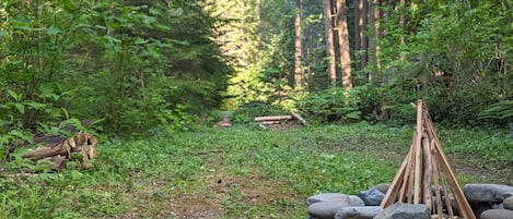 Campfire pit w/ a cooking grate, just a throw away from the 1-way horeshoe  pit