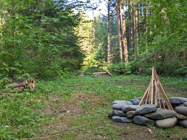 Campfire pit w/ a cooking grate, just a throw away from the 1-way horeshoe  pit