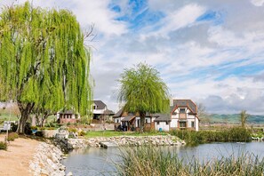 Our pond at Santellan Vineyards