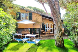 Plante, Propriété, Bâtiment, Fenêtre, Arbre, Ciel, Ombre, Chaise, Mobilier De Jardin, Parapluie