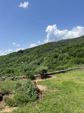 Boendeområde