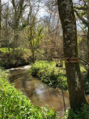 Stream at bottom of wood
