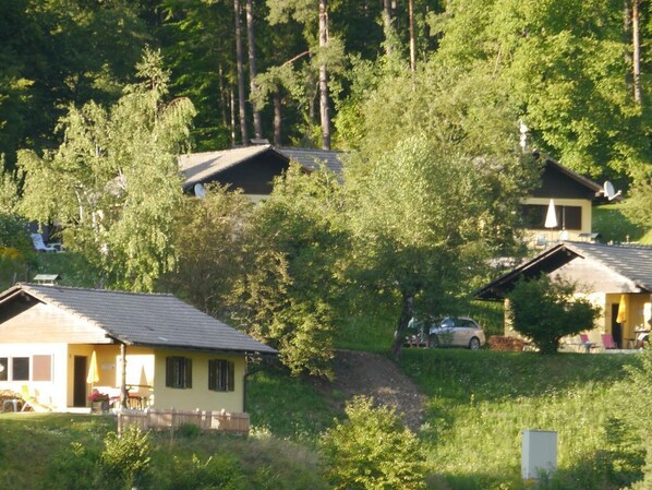 Esterni