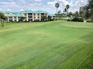 Beautiful fairways, warm breezes, Palm trees, and GOLF.