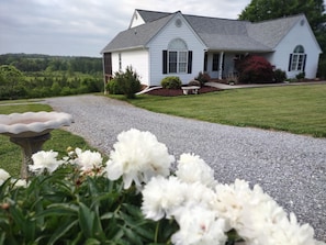 Beautiful, quiet countryside, views, private driveway down the hill entrance