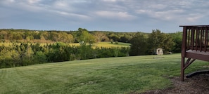 Back yard area