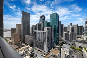 Fantastic Brickell and Downtown views from the apartment!