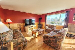 Living room 1, with gas fireplace (1)