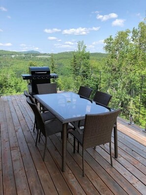 Terrace with furniture and gas bbq