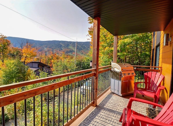 Terrasse et vue