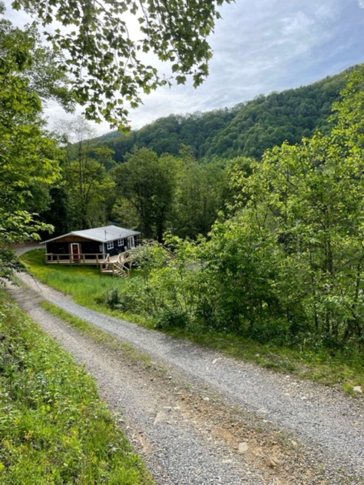 Main Image