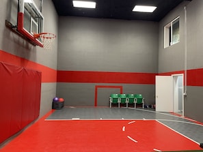 Downstairs sport court