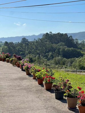 Terrenos do alojamento