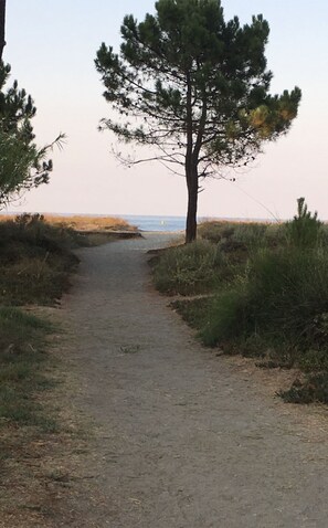 Le chemin de la plage