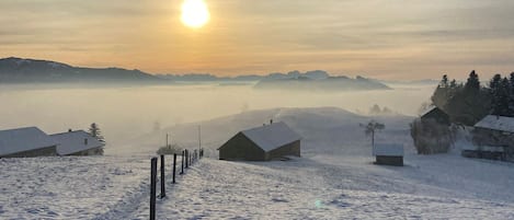 Haus Berchtold - Wanderweg gleich vor dem Haus