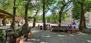 Plant, Flowerpot, Building, Road Surface, Urban Design, Tree, Neighbourhood, Leisure, Shade