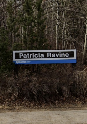 Patricia Ravine next door