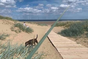 Dog Friendly Redcar Beach