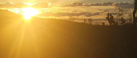 Mojave Desert Sunrise, Joshua Trees