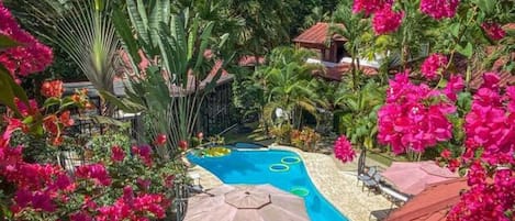 Saltwater Pool & Gardens