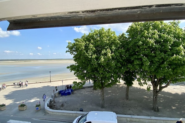 Beach/ocean view