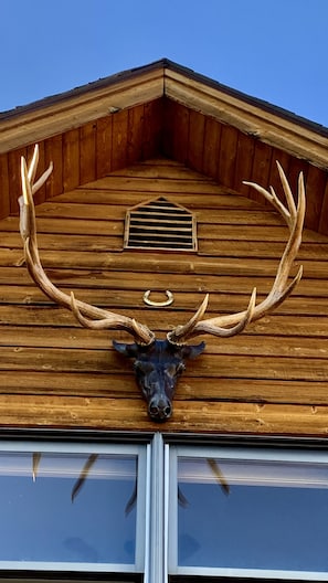 The Lucky Elk welcomes you!