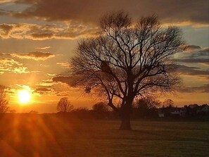 Sonnenuntergang in der Umgebung
