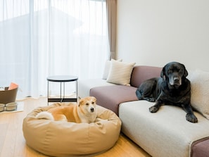 [Pet-friendly, simple modern] There is also a doggy sofa in the living room