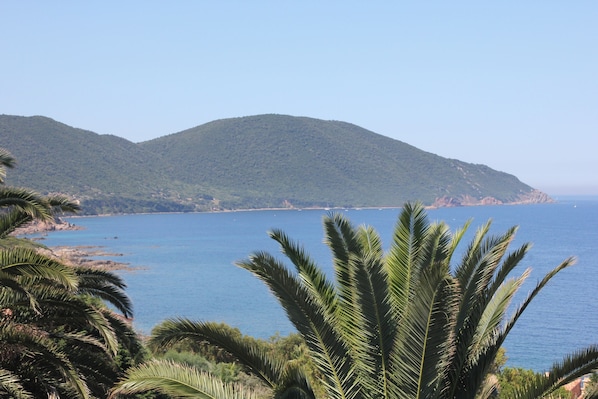 Côté Sud du Golfe de Lava, vu de la maison