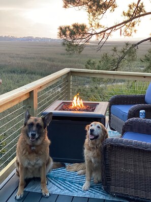 Bring your pets, they will love Fripp too! 