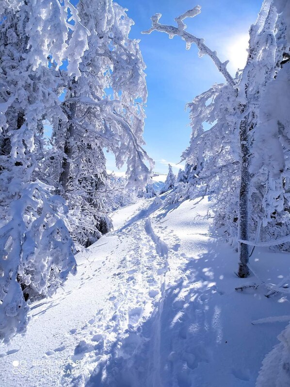 Snow and ski sports