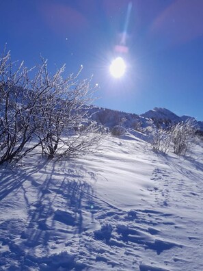 Snow and ski sports