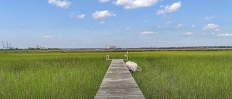 Tidal Dock for fishing or watching epic sunsets