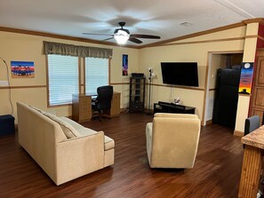 livingroom with pull out queen sofa bed
