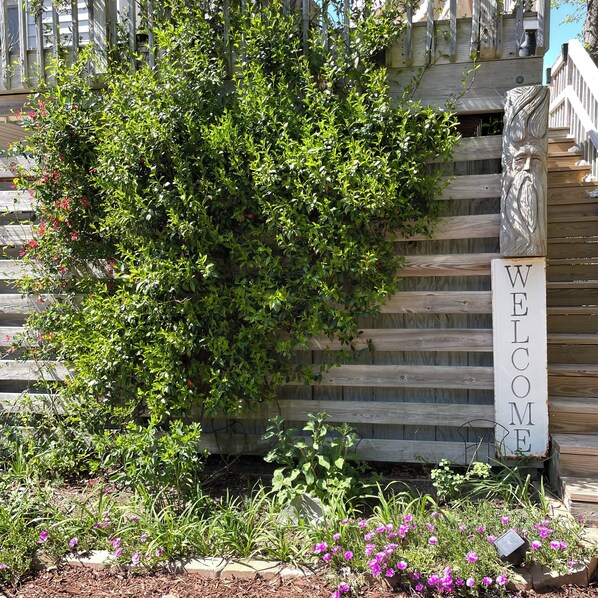 Exterior detail
